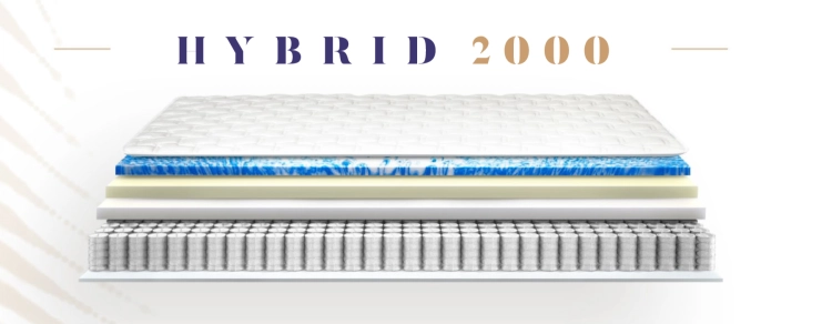 hybrid 2000.png