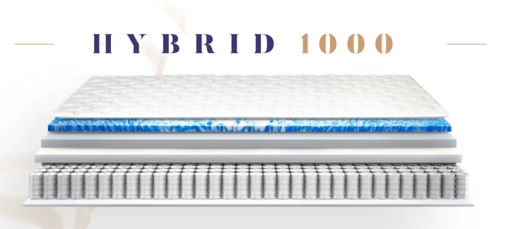 hybrid 1000.png