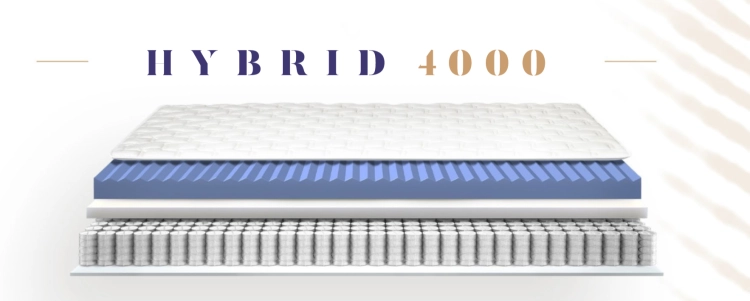 hybrid 4000.png