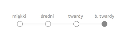 fandango 3.png