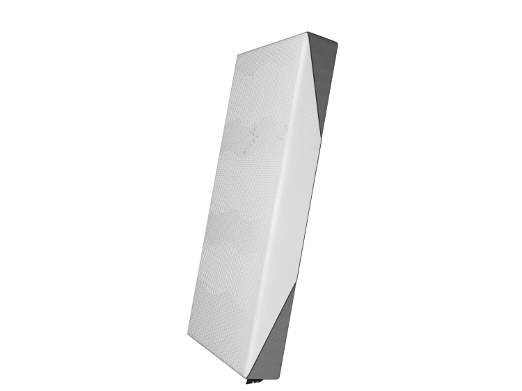 ZIP_cover_pion.png
