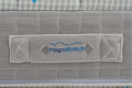 magni 1.png