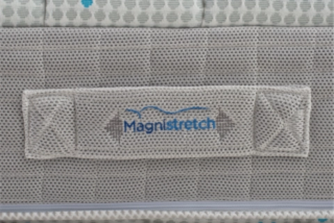magni 1.png