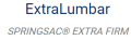 extra lumbar napis.png