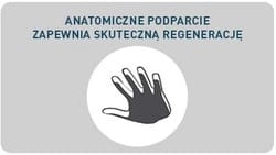 anatomiczny kształt.jpg