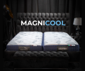magnicool1.png