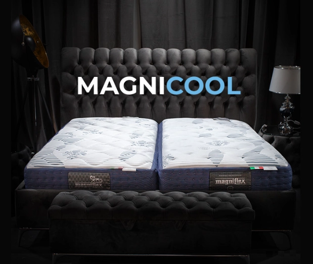 magnicool1.png