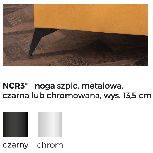 noga szpic opis.png