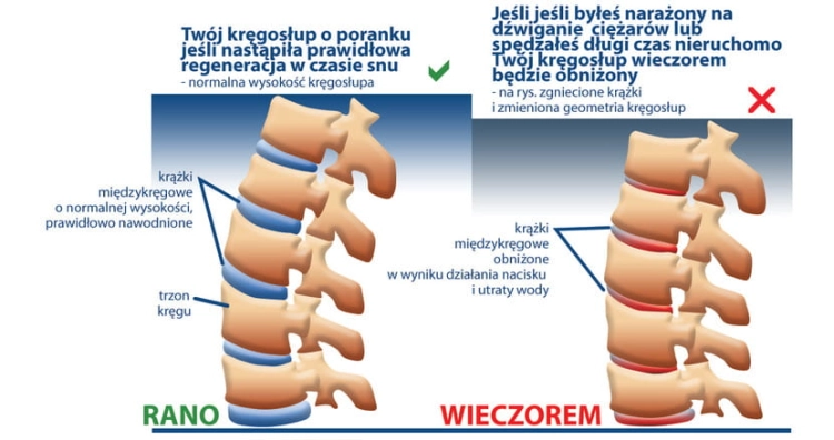 kregoslup-rano-wieczorem-bol.jpg