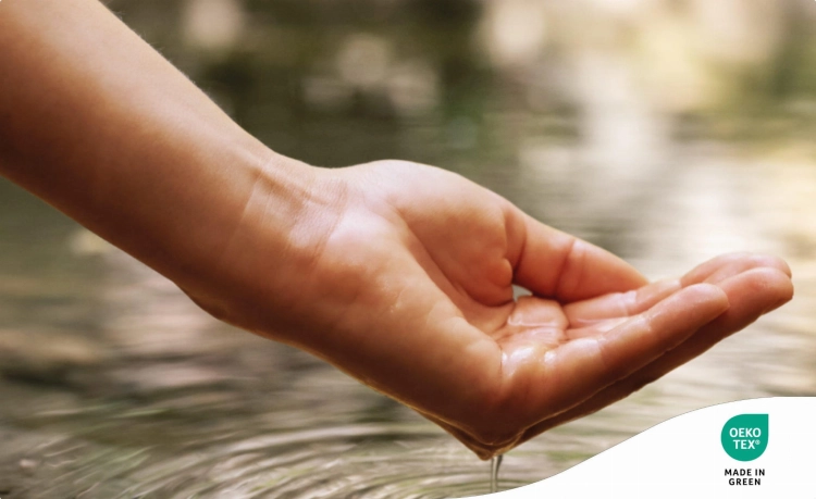 Sustainability-brand-credential.jpg