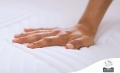 Tempur-Material-brand-credential.jpg
