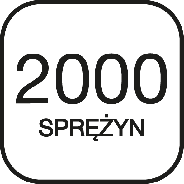 2000 sprężyn.png