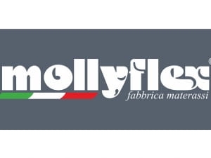 mollyflex.jpg