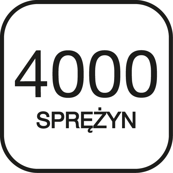 4000 sprężyn.png