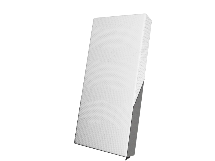 REG_cover_pion (1).png