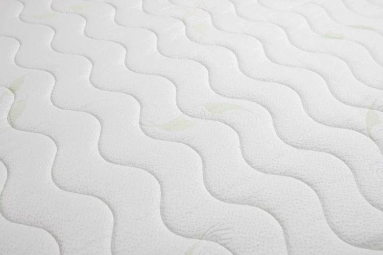 Aloe Vera-8cd59d0e.webp