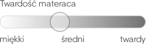 v-isco-shape-twardosc-300x91.png